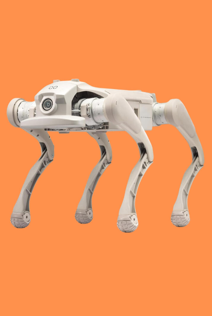 The FX Aegis Ultra runs at 11.2 mph, climbs 40° slopes, clears 14-inch obstacles, carries 22 lbs, streams 4K video, and is fully programmable with Python, SDK, and API support. Powered by NVIDIA Orin NX 16G and built for real research and development.
